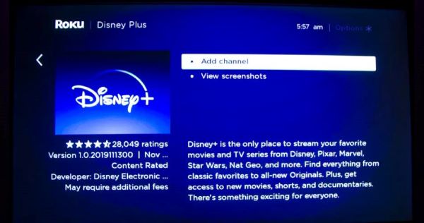 add disney channel roku