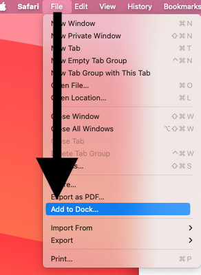 add netflix to dock