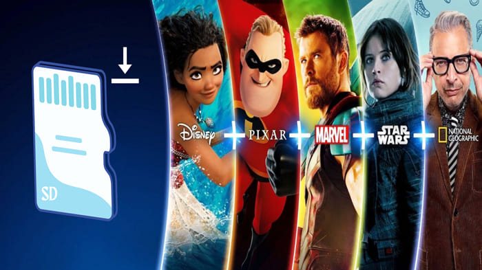 download disneyplus video to sd card.html