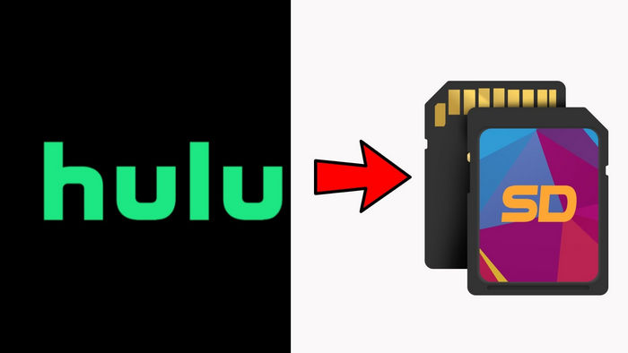 save hulu video to sd card