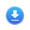 download button