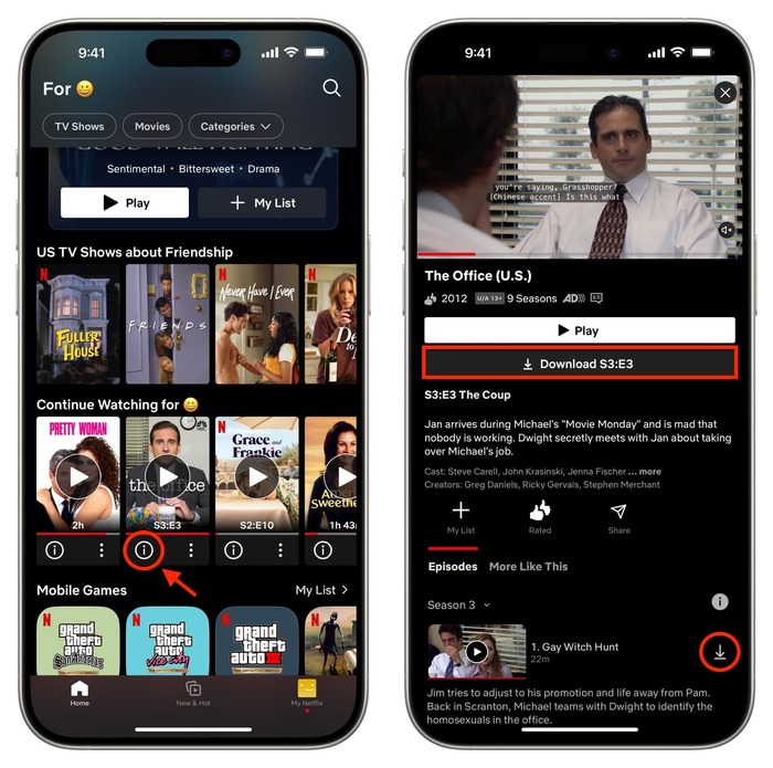 Download Netflix on iPhone/iPad