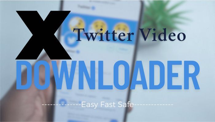 Twitter Video Downloader
