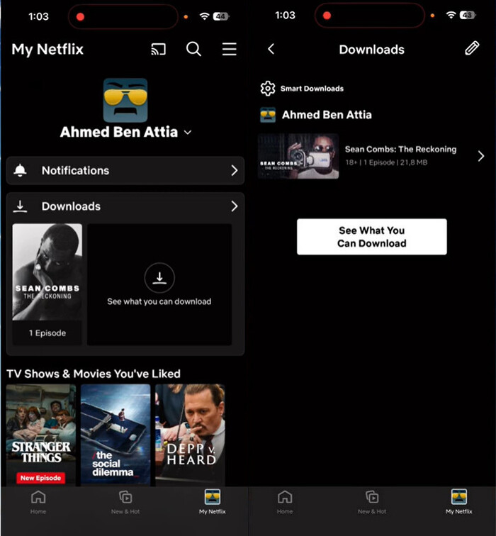 Find downloadable netflix movies