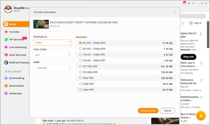 StreamFab 8K Settings