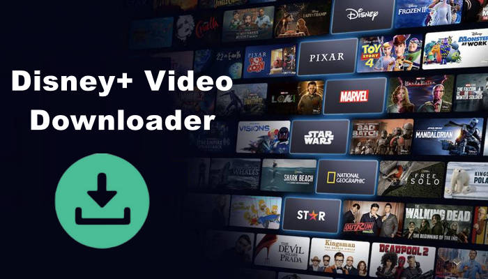 best disney plus video downloader