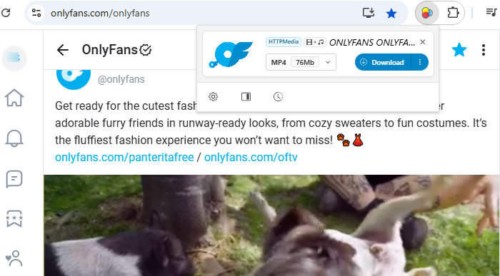 onlyfans downloader chrome extension: video downloaderhelper
