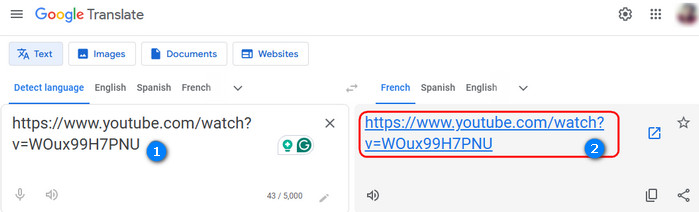 Google Translate - Watch YouTube at School