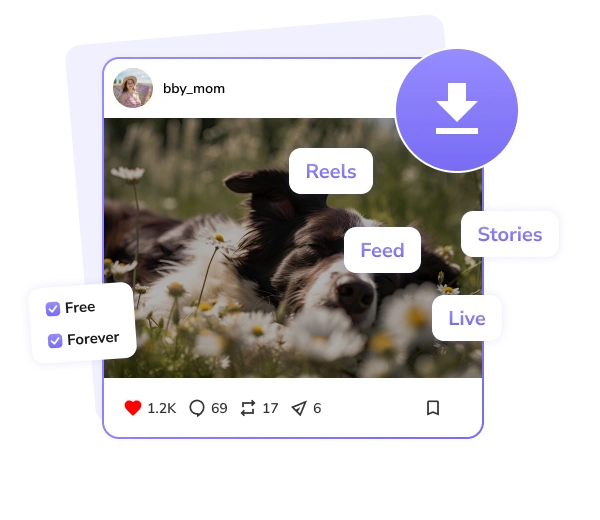 Download Instagram Videos for Free without watermarks
